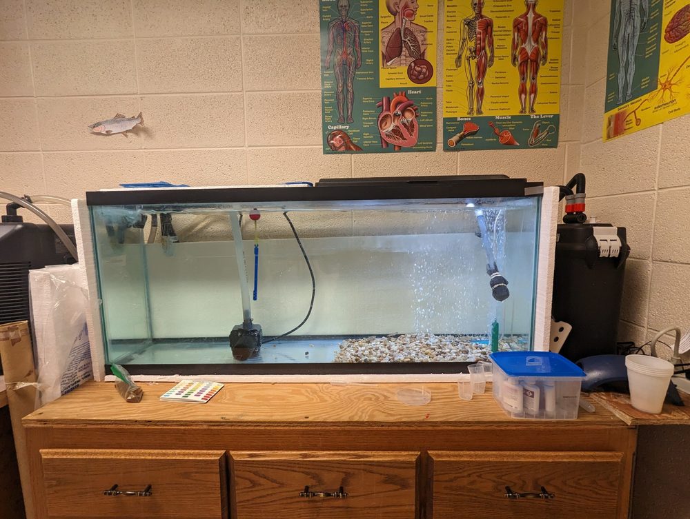 An aquarium tanks site on a desk in a classroom 